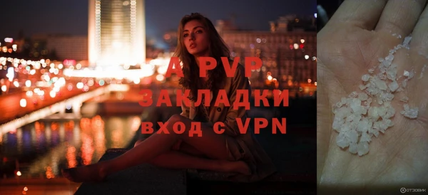 шишки Приозерск