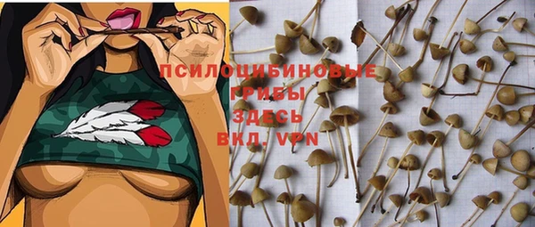 метадон Алзамай