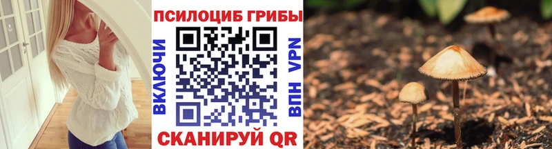 Галлюциногенные грибы мицелий  где продают наркотики  ссылка на мегу онион  Мензелинск 